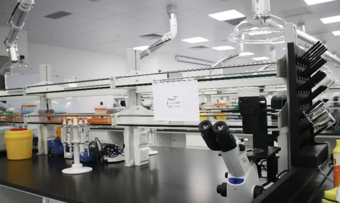 Biological prototyping
