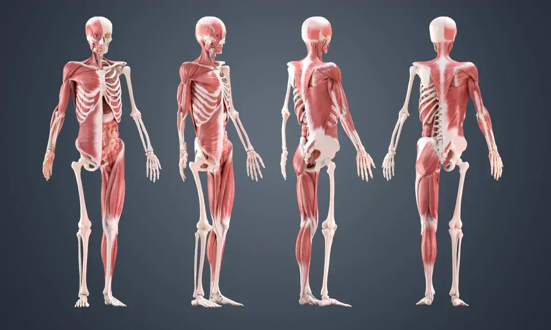 Medical Prototyping & Manufacturing